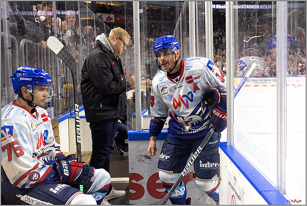 PENNY DEL;  Kölner Haie - Adler Mannheim; Köln, 04.11.2022